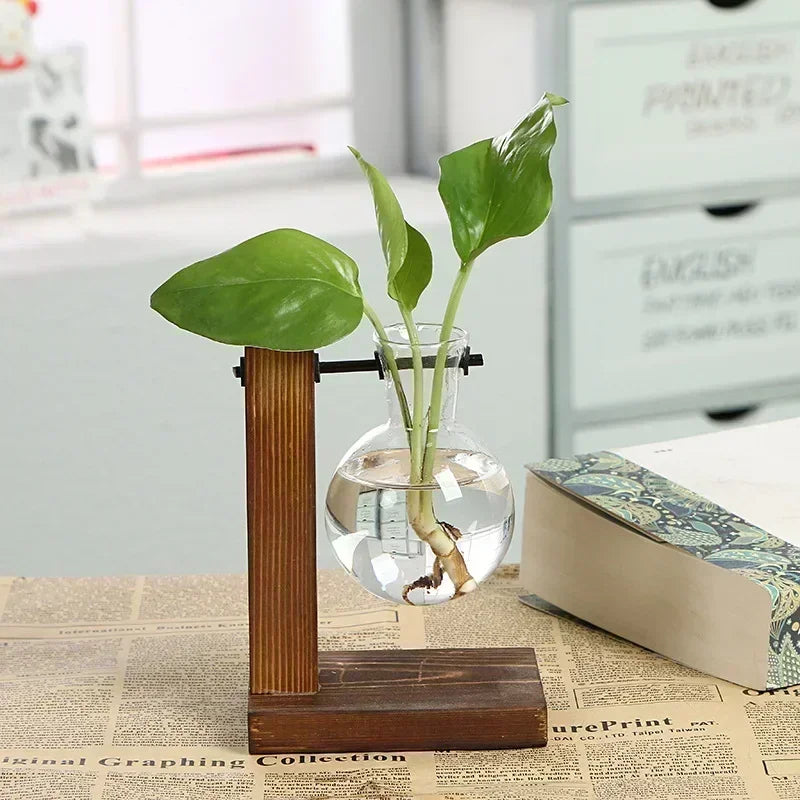 Glass Terrarium Plant Vase