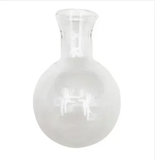 Glass Terrarium Plant Vase