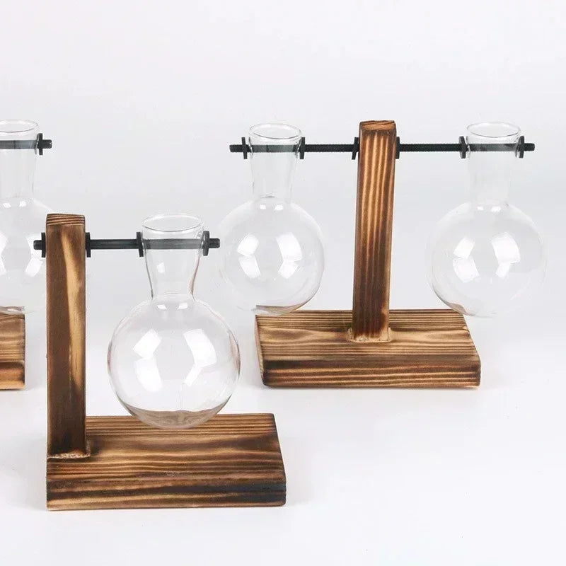Glass Terrarium Plant Vase