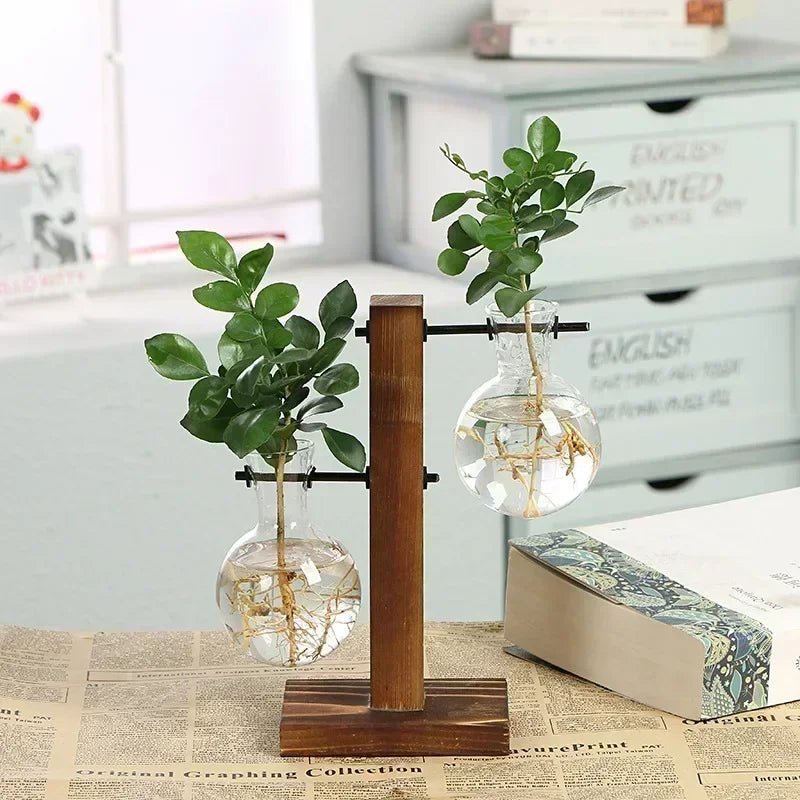 Glass Terrarium Plant Vase