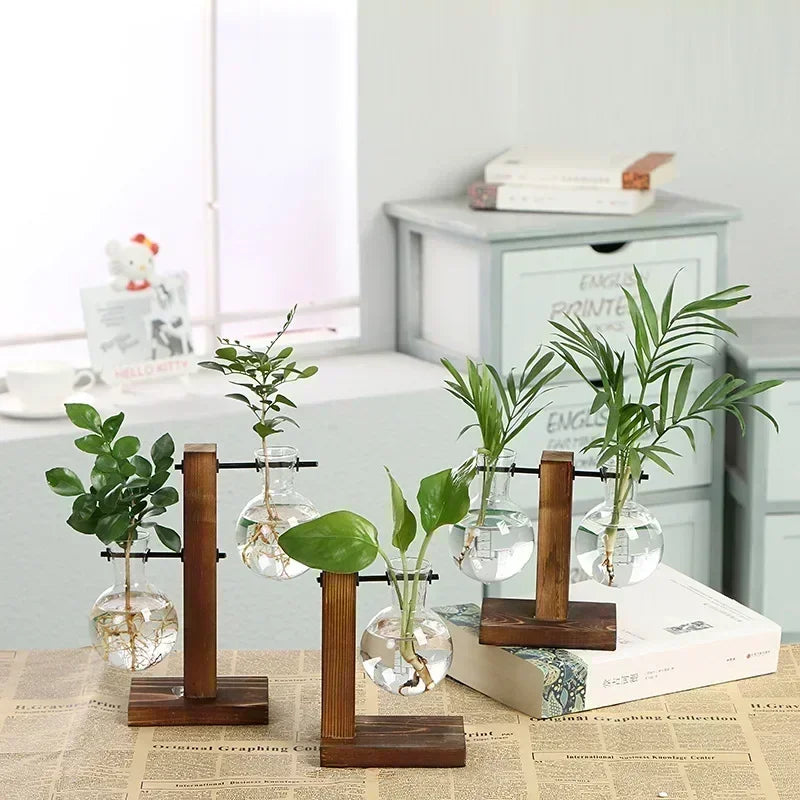 Glass Terrarium Plant Vase