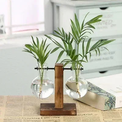 Glass Terrarium Plant Vase