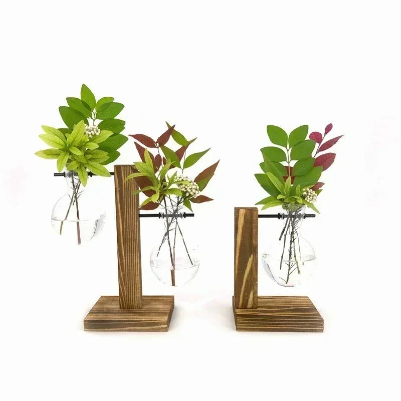 Glass Terrarium Plant Vase