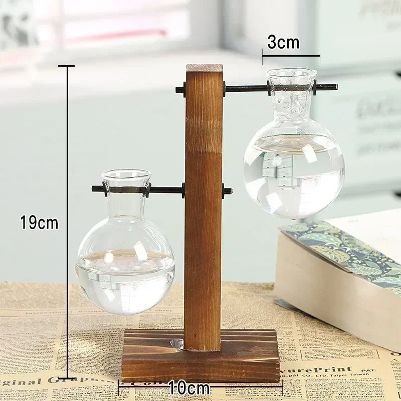 Glass Terrarium Plant Vase